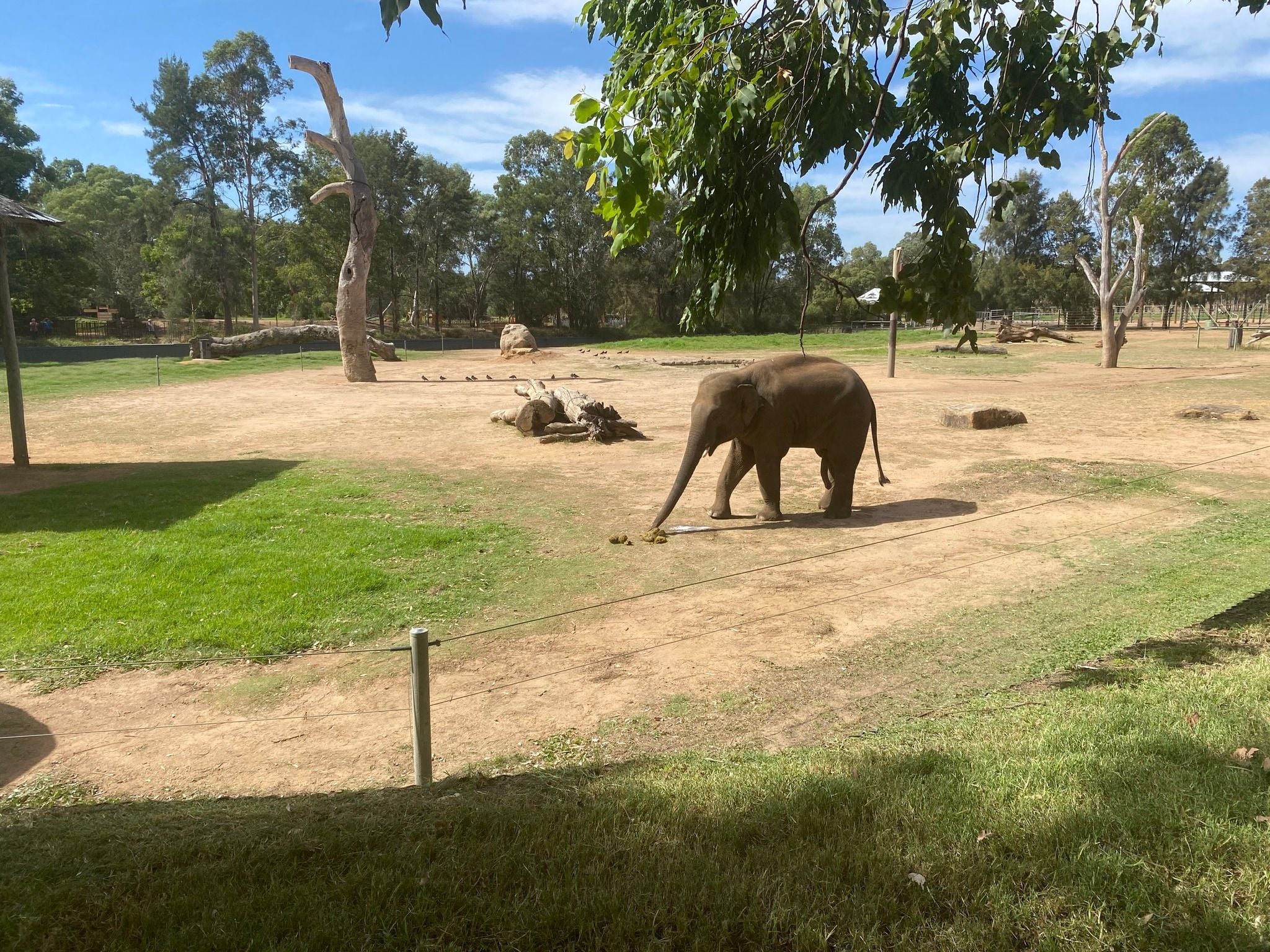 Dubbo Zoo 2025 Image -67de047b2c254